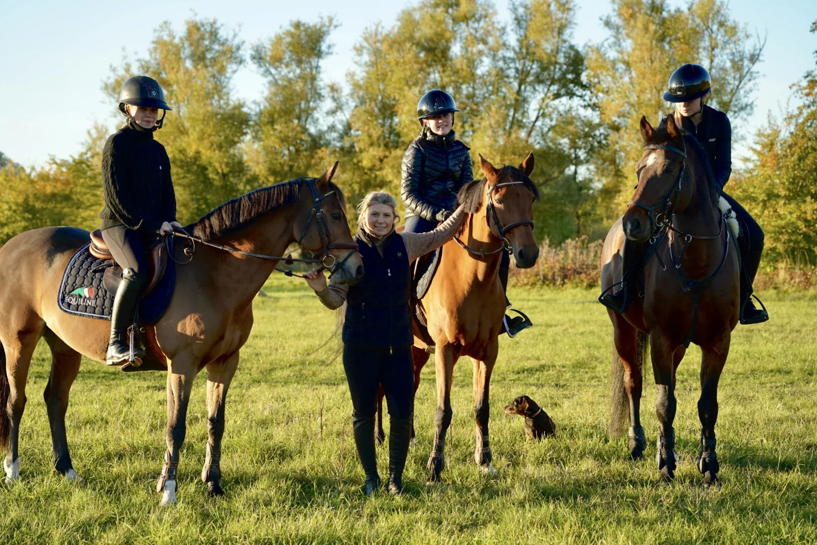 The team with the horses at Stall Heed in the autumn sunshine
